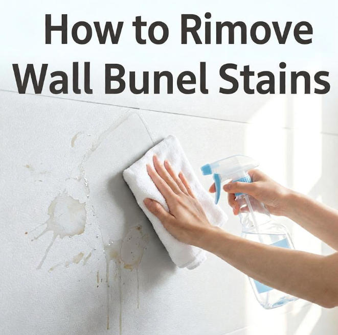 How to Remove Stains from Protective Wall Panels？
